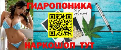 сатива Чебоксары