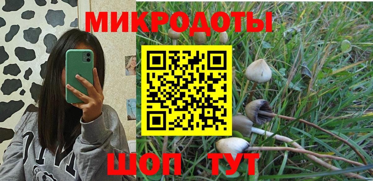 Галлюциногенные грибы Magic Shrooms  Галлюциногенные грибы Psilocybe  Вход с VPN  Соликамск 