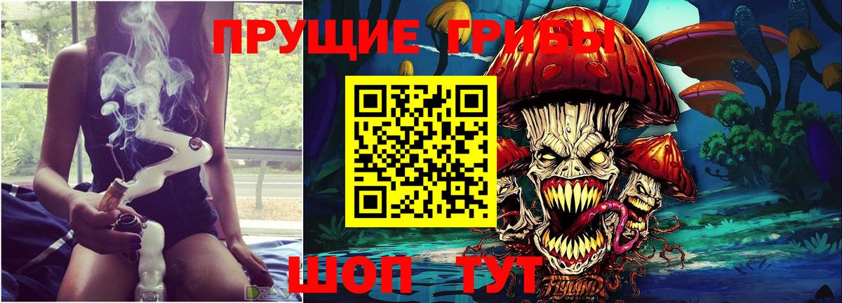 Псилоцибиновые грибы Psilocybine cubensis Соликамск